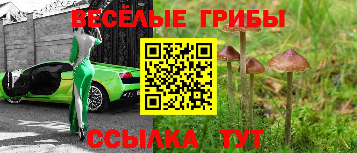 Псилоцибиновые грибы прущие грибы  Галлюциногенные грибы прущие грибы  Вход с VPN  Снежинск 